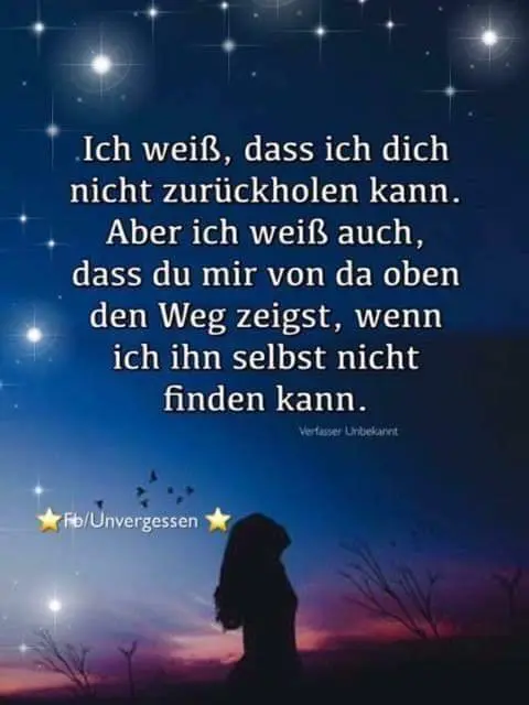 Condolence image of Nachträglich zum Monatsgedenktag❤️ lieber Elvis