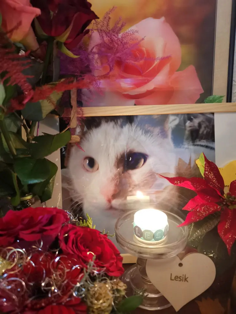 Condolence image of Olena mit Lesik im Herzen ❤️