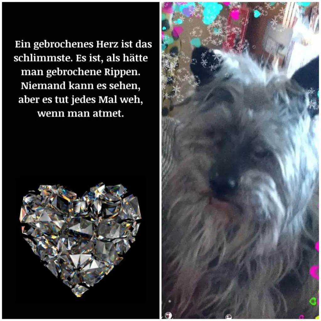 Condolence image of Susanne
