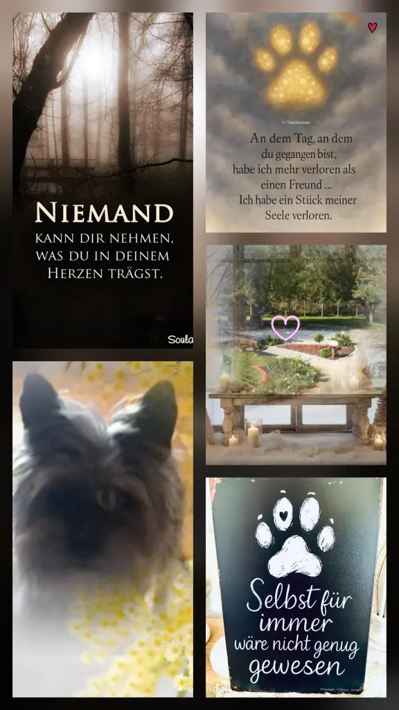 Condolence image of Susanne Hofmann