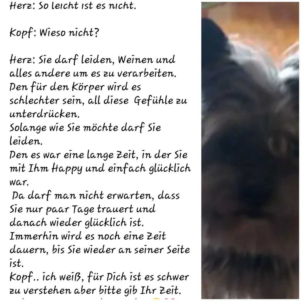 Image from Charly