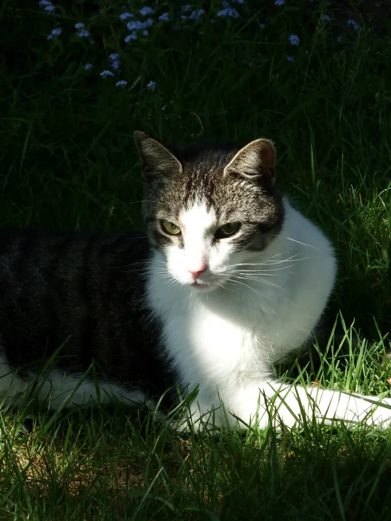 Condolence image of Barbara