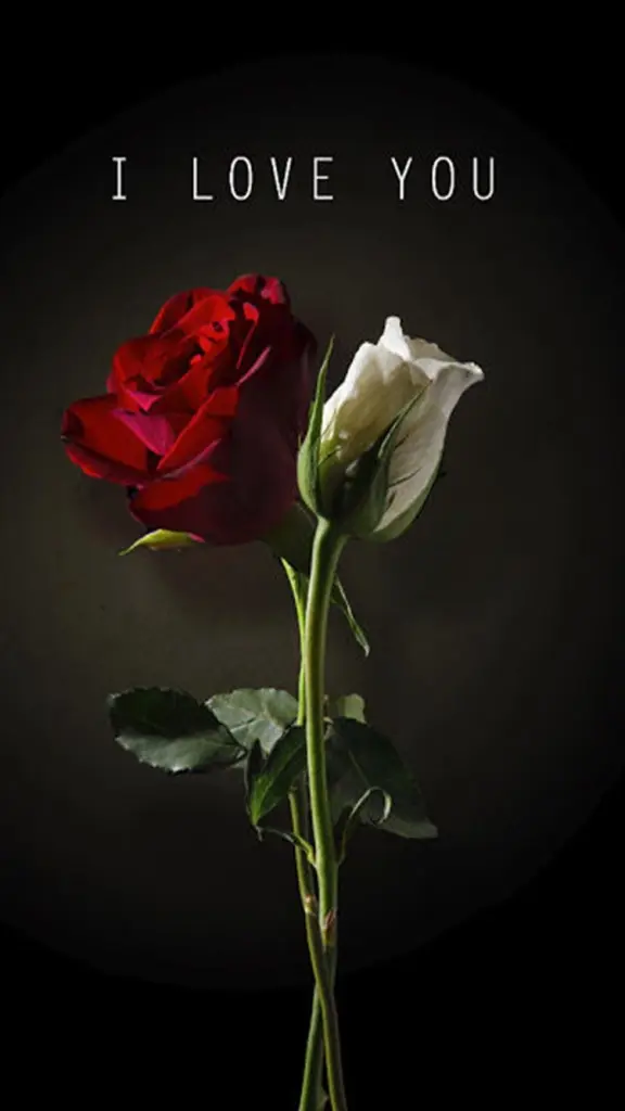 Condolence image of Devin