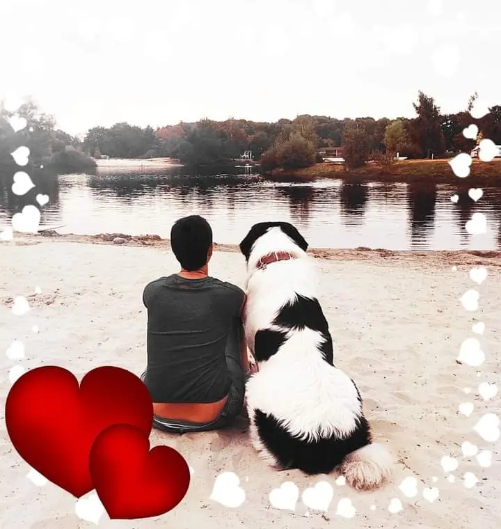 Image from Benny