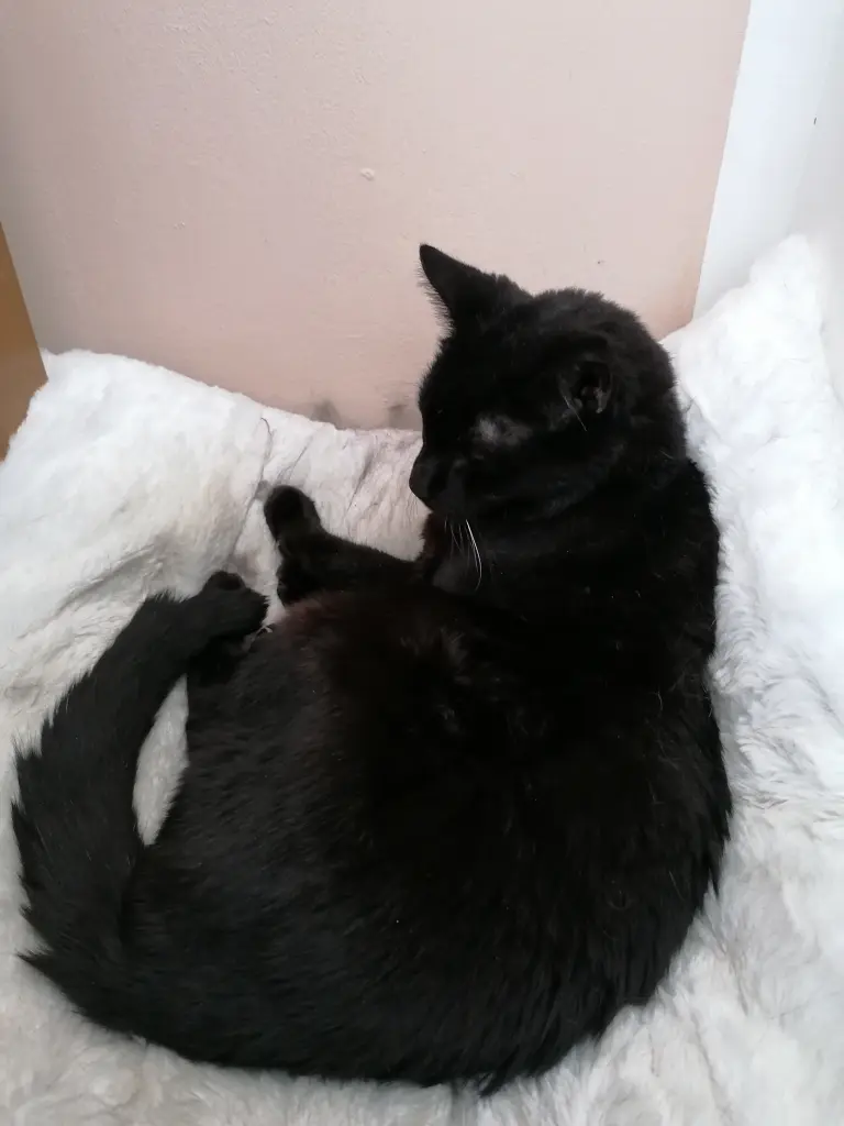 Condolence image of Mama