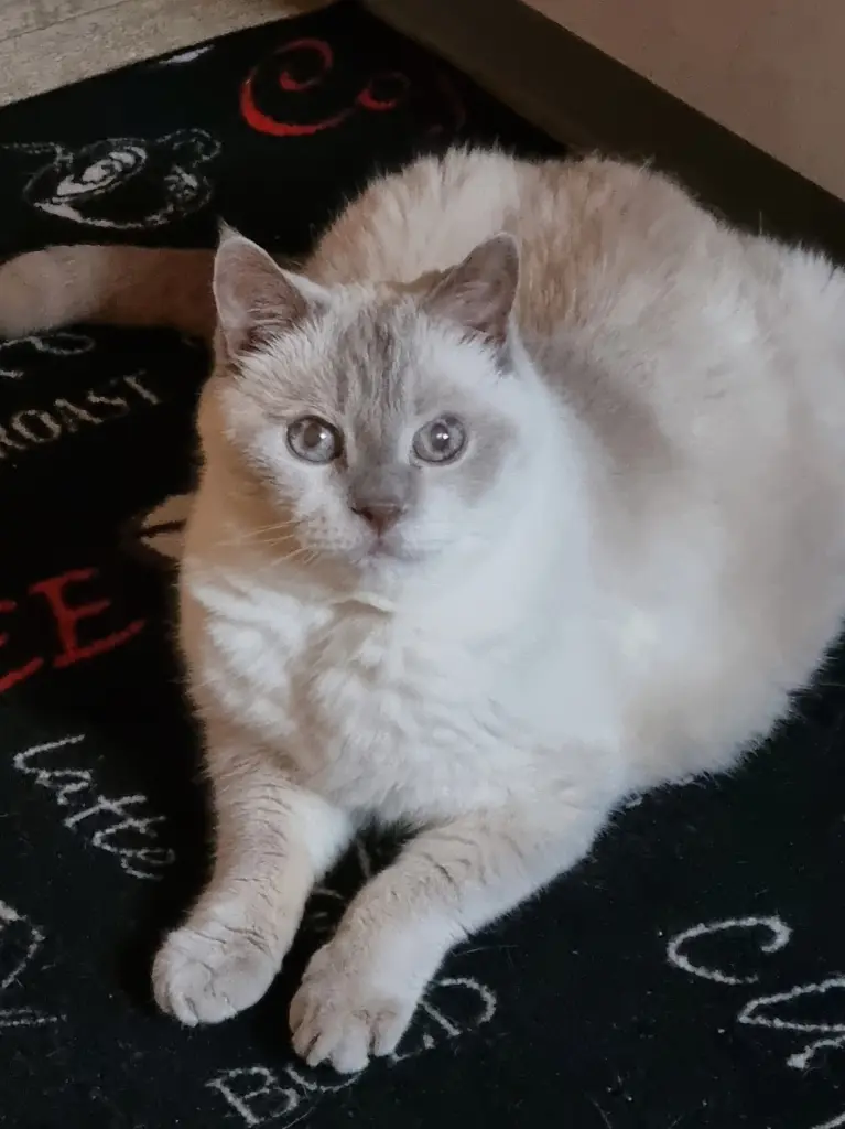 Condolence image of Barbara
