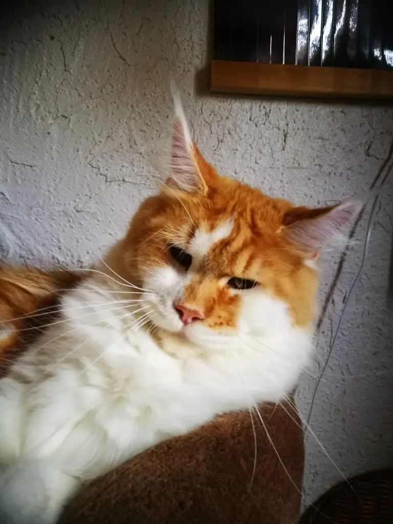 Condolence image of Nicole