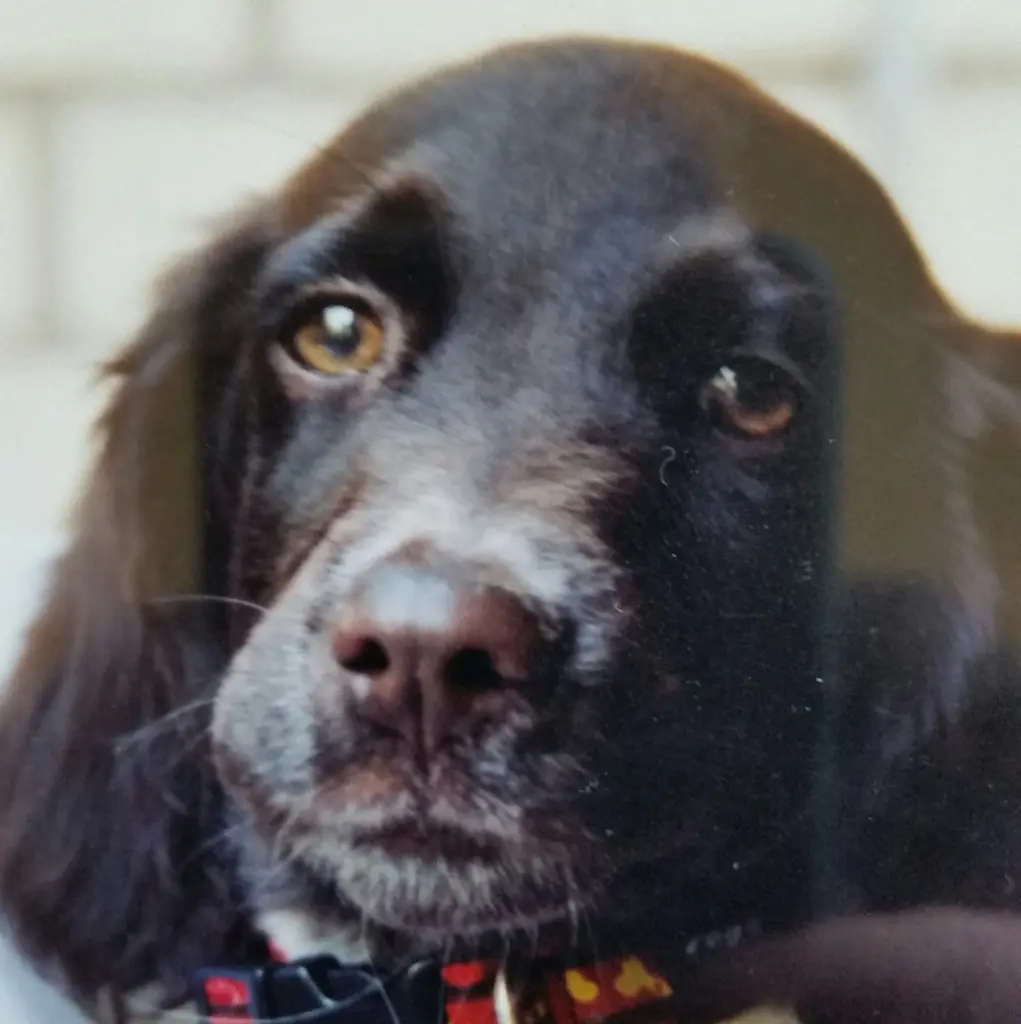 Condolence image of Andrea