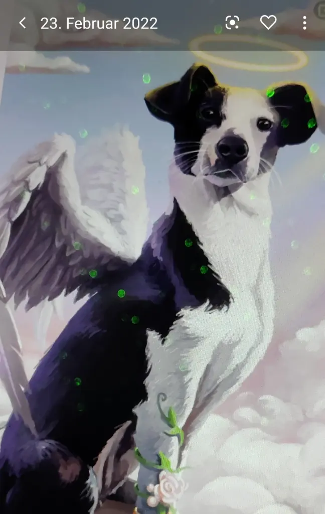 Condolence image of Unbekannt