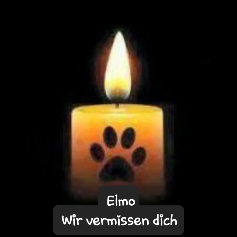 Condolence image of Deine Familie ♥️
