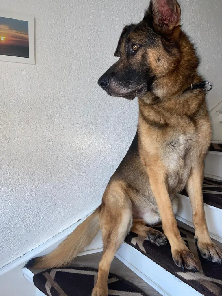 Condolence image of Unbekannt