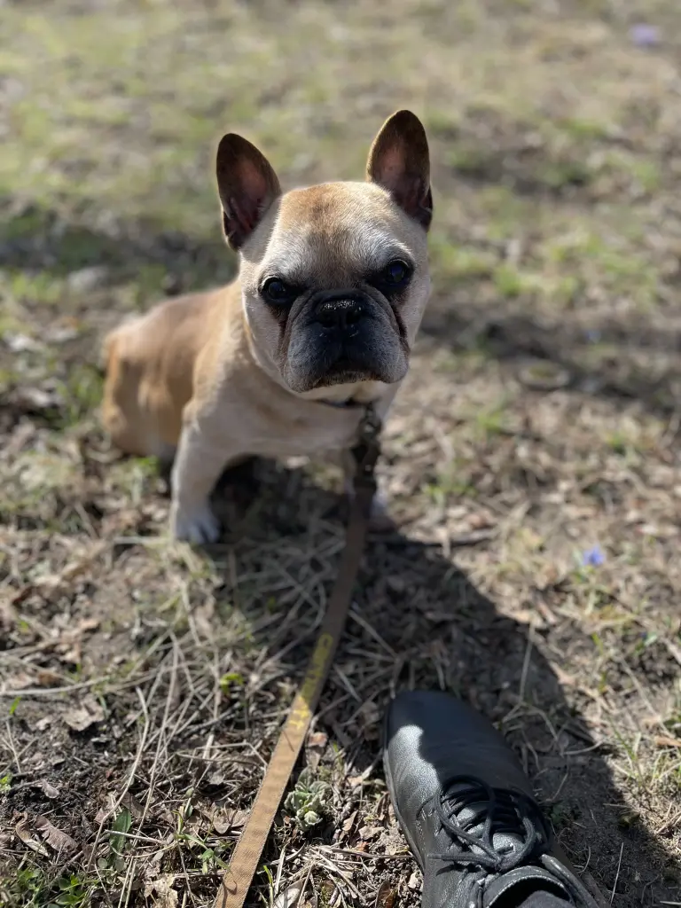 Image from Butch
