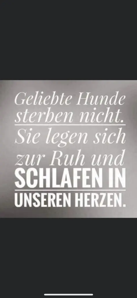 Condolence image of Nadine mit Murphy unvergessen 