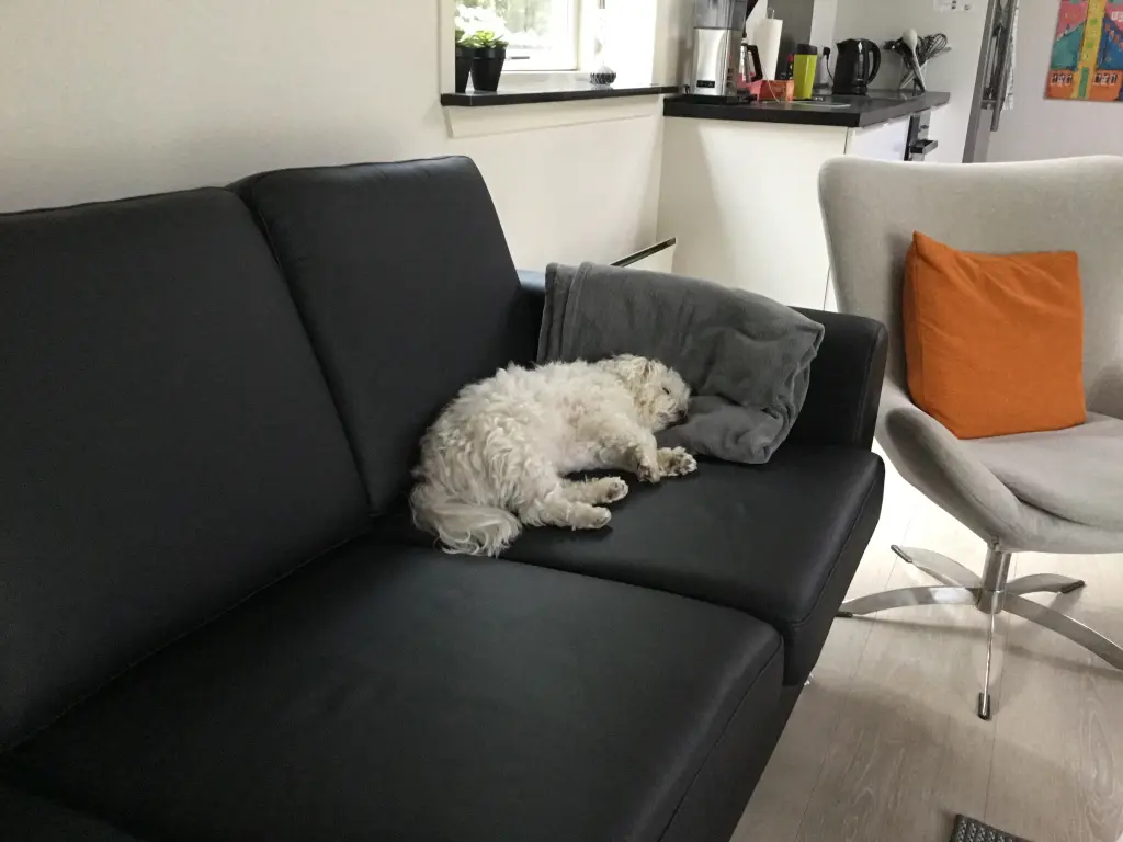 Andachtsbild von Steffi und Toni