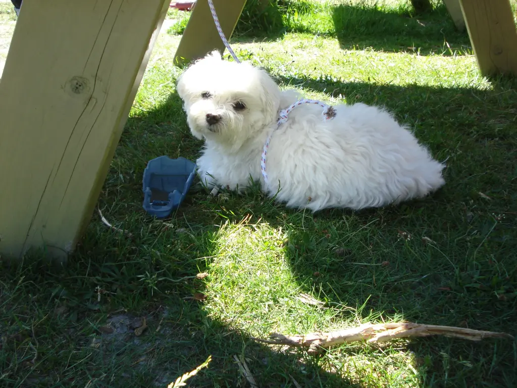 Andachtsbild von Toni + Steffi