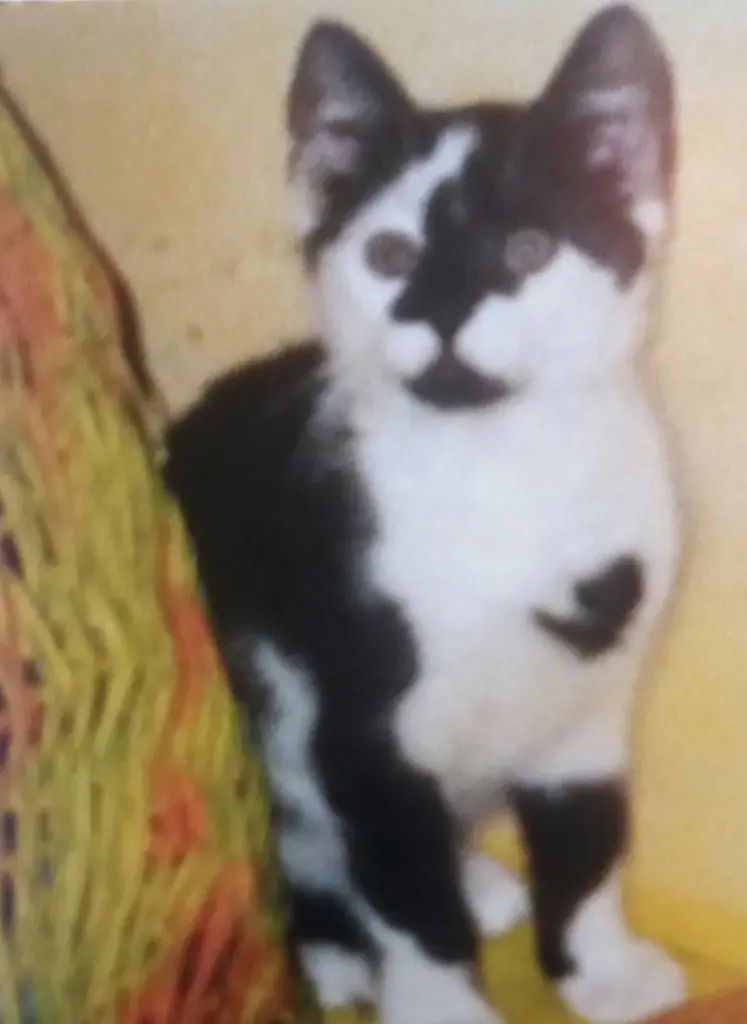 Andachtsbild von Annemarie und Elke mit Snoopy im Herzen gest 04.01.2022