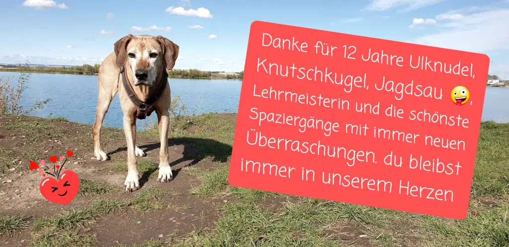 Andachtsbild von Jacqueline mit Herzenshund Amira