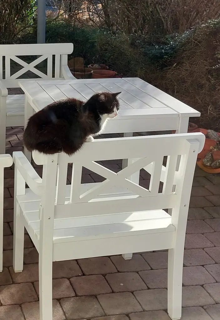 Andachtsbild von Susanne Meyer-Binder