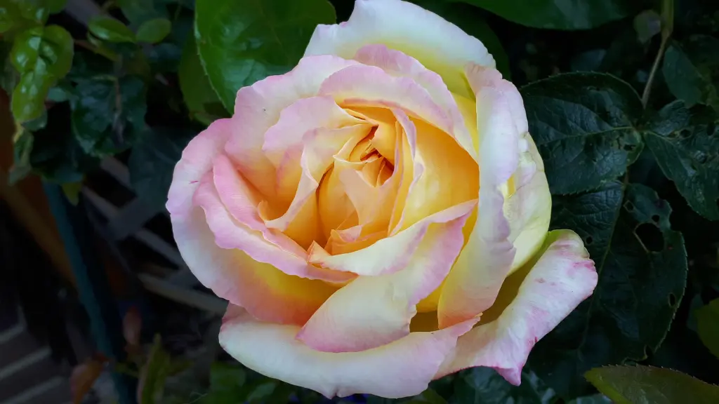 Andachtsbild von Simone