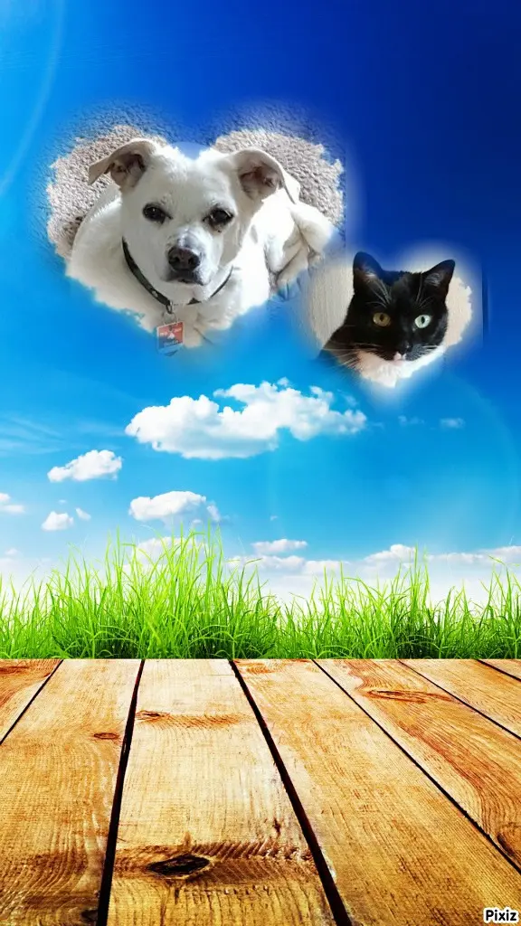Andachtsbild von Tanja mit Timmy im Herzen