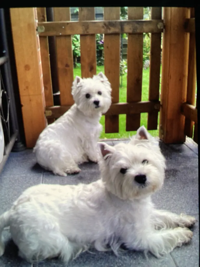 Andachtsbild von Sigrid