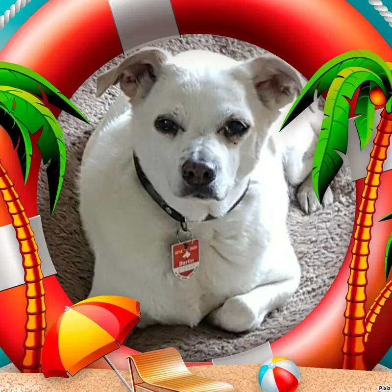 Andachtsbild von ♥♥♥♥♥