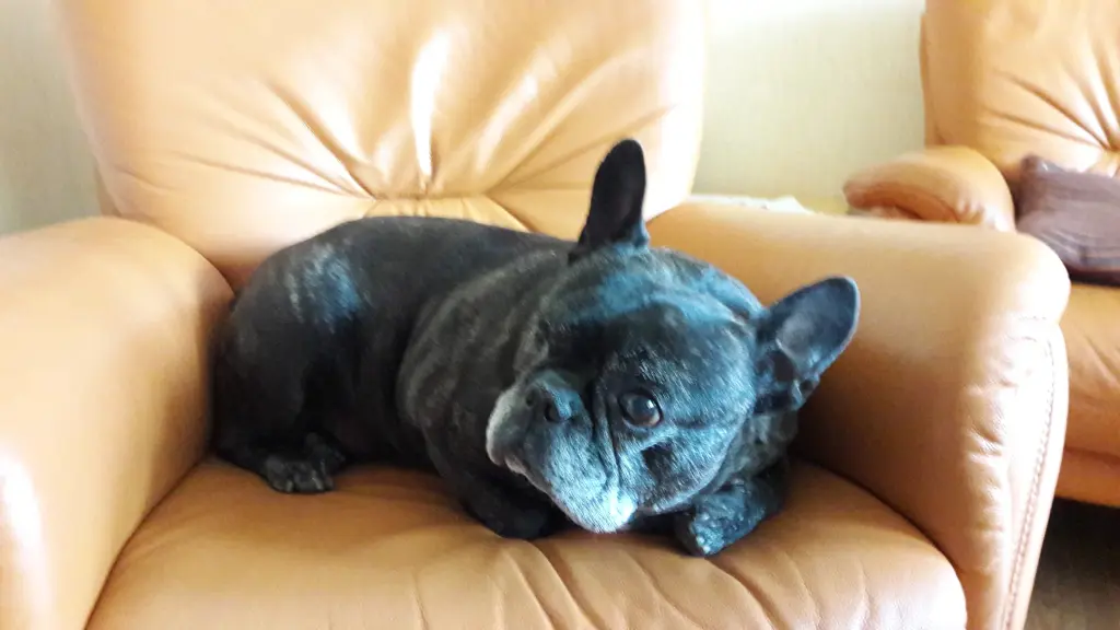 Andachtsbild von Alois und Gudrun mit Yoda im Herzen