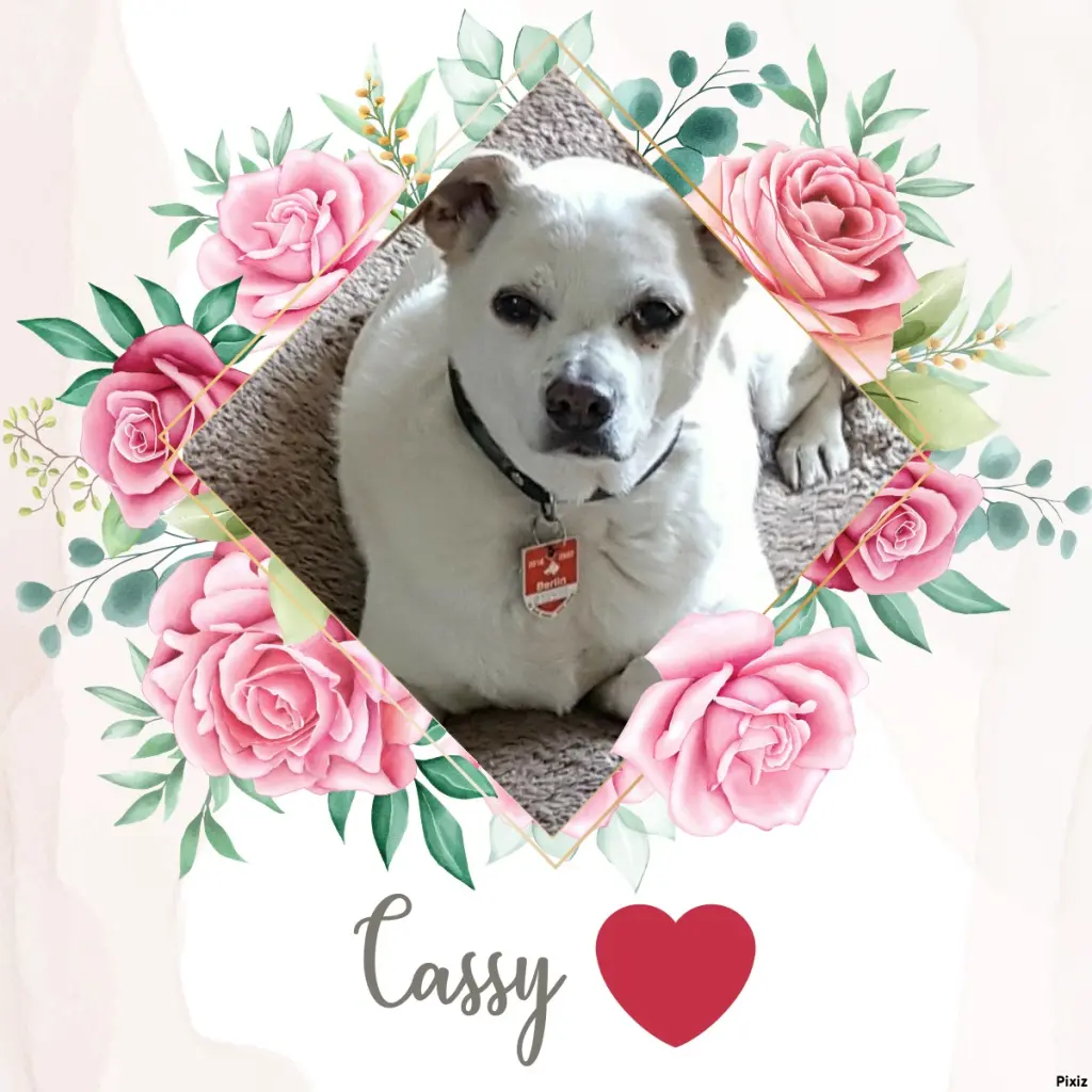 Andachtsbild von Tanja mit Timmy im Herzen 