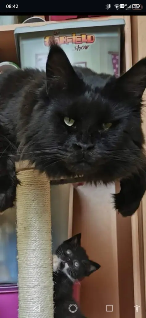 Andachtsbild von Monika Mundt