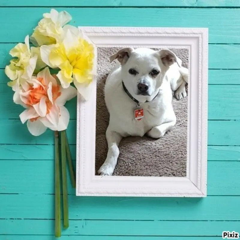 Andachtsbild von Unbekannt