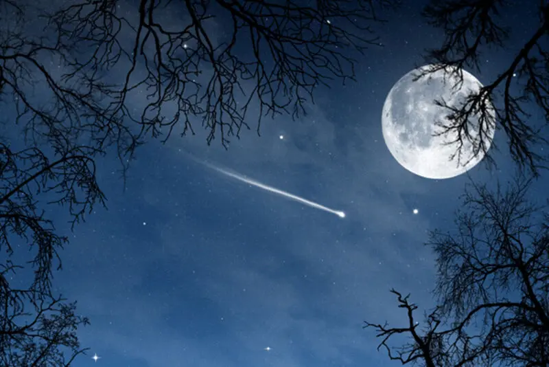 Andachtsbild von Frauchen und Herrchen in Liebe