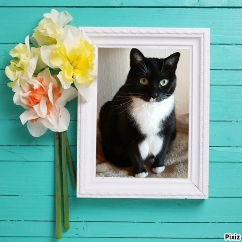 Andachtsbild von Frauchen und Herrchen in Liebe