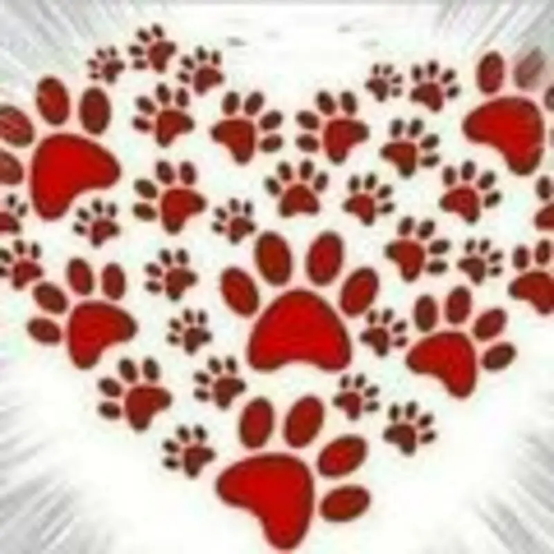 Andachtsbild von Frauchen und Herrchen in Liebe