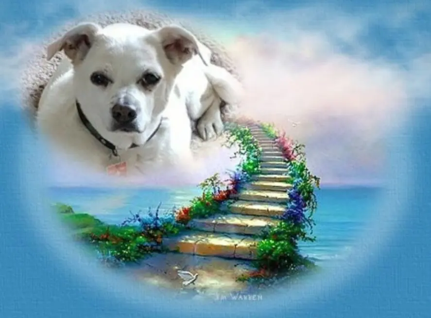 Andachtsbild von Frauchen und Herrchen in Liebe