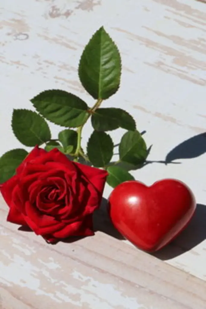Andachtsbild von Frauchen und Herrchen in Liebe