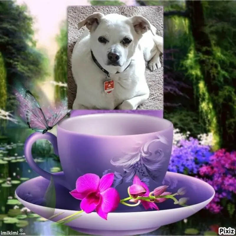 Andachtsbild von Frauchen und Herrchen in Liebe