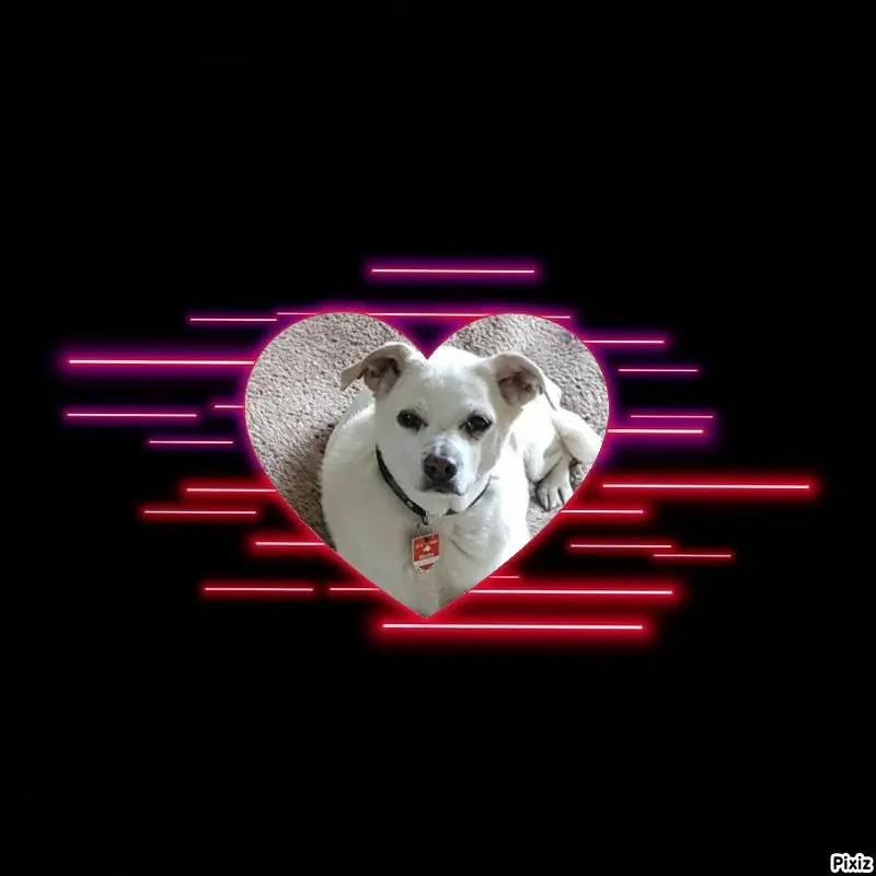 Andachtsbild von Frauchen und Herrchen in Liebe