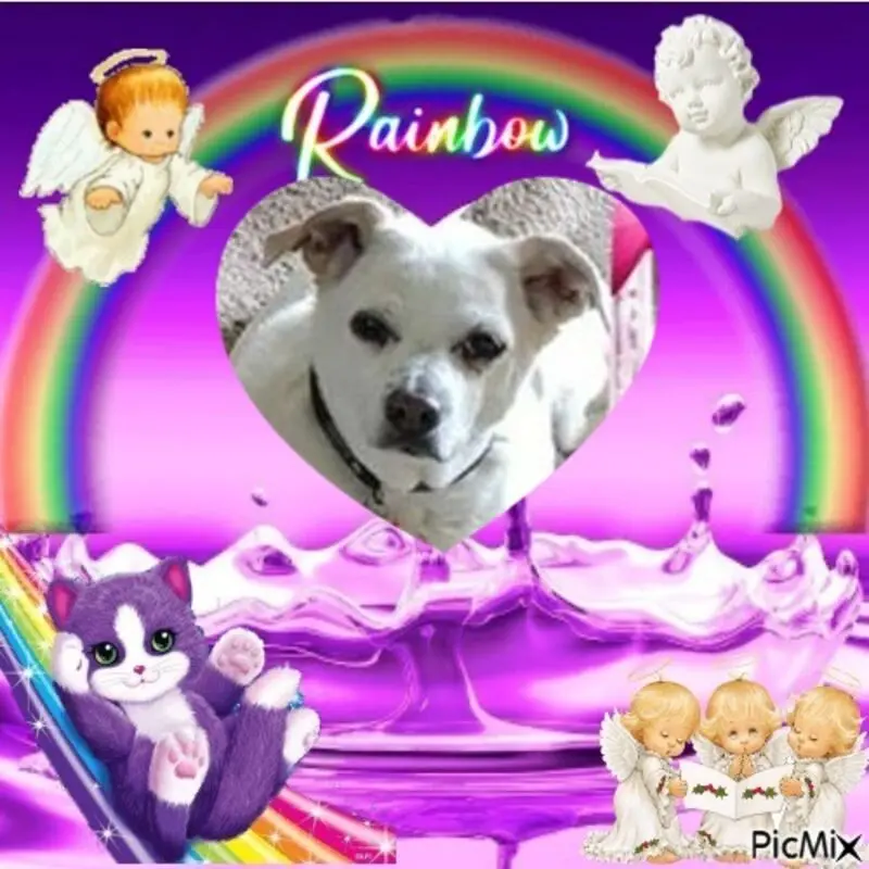 Andachtsbild von Frauchen und Herrchen in Liebe