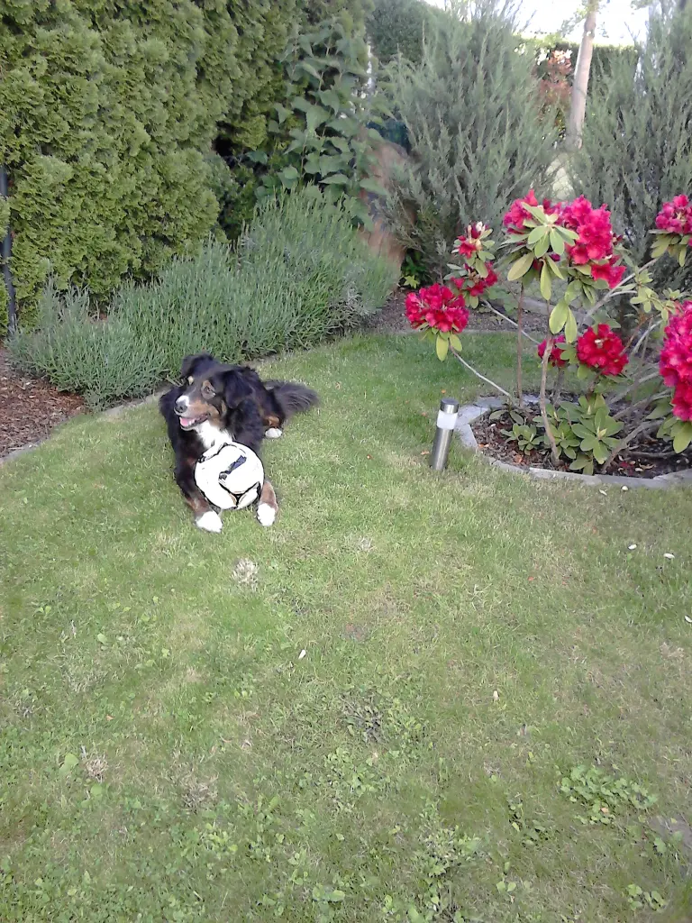 Andachtsbild von Renate mit ihrem geliebten Bubele