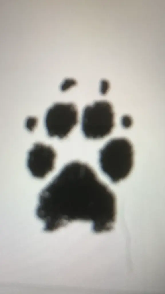 Andachtsbild von Maria Niehus- Andree