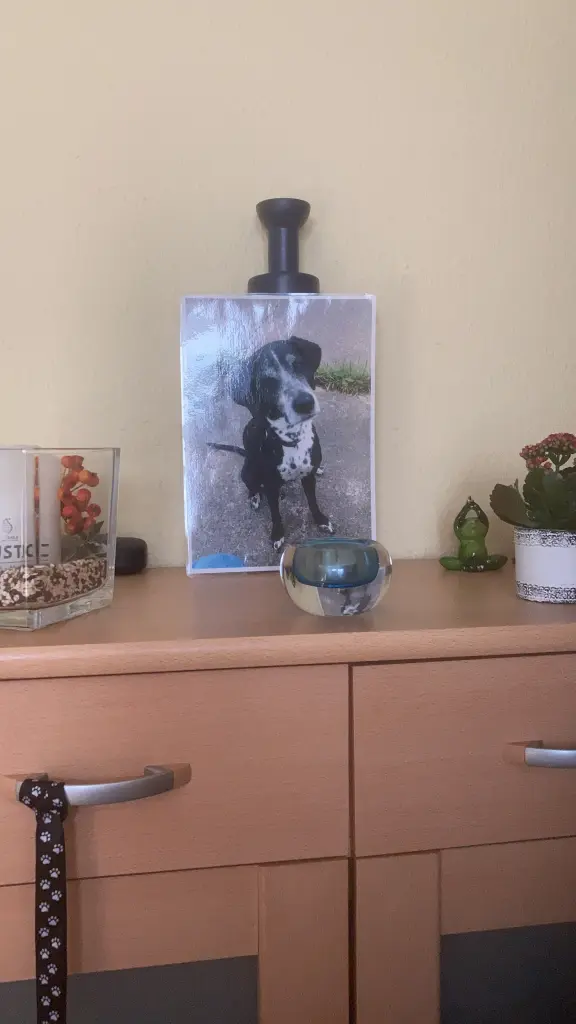 Andachtsbild von Maria