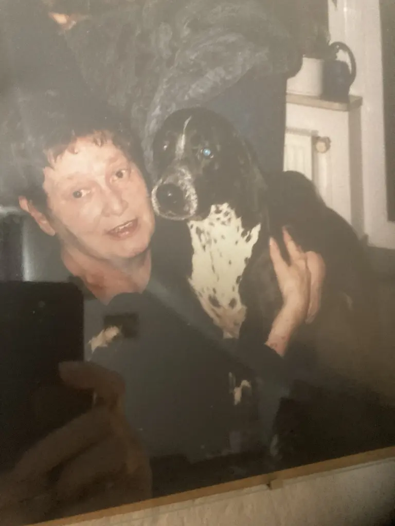 Andachtsbild von Maria