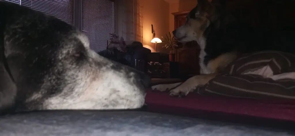 Andachtsbild von Maria Niehus-Andree