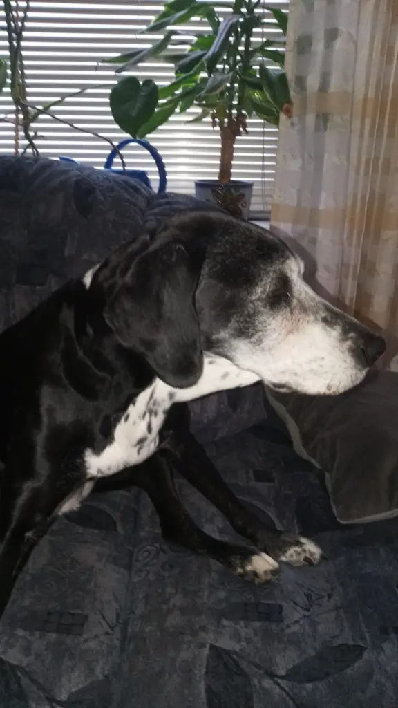 Andachtsbild von Maria Niehus -Andree