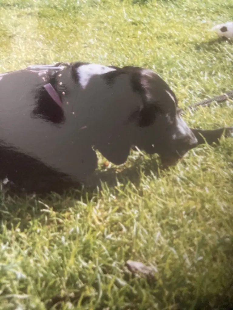 Andachtsbild von Maria Niehus-Andree