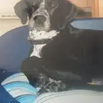 Andachtsbild von Maria Niehus-Andree