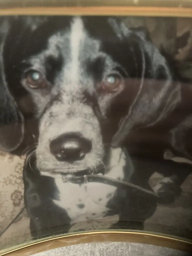 Andachtsbild von Maria Niehus-Andree