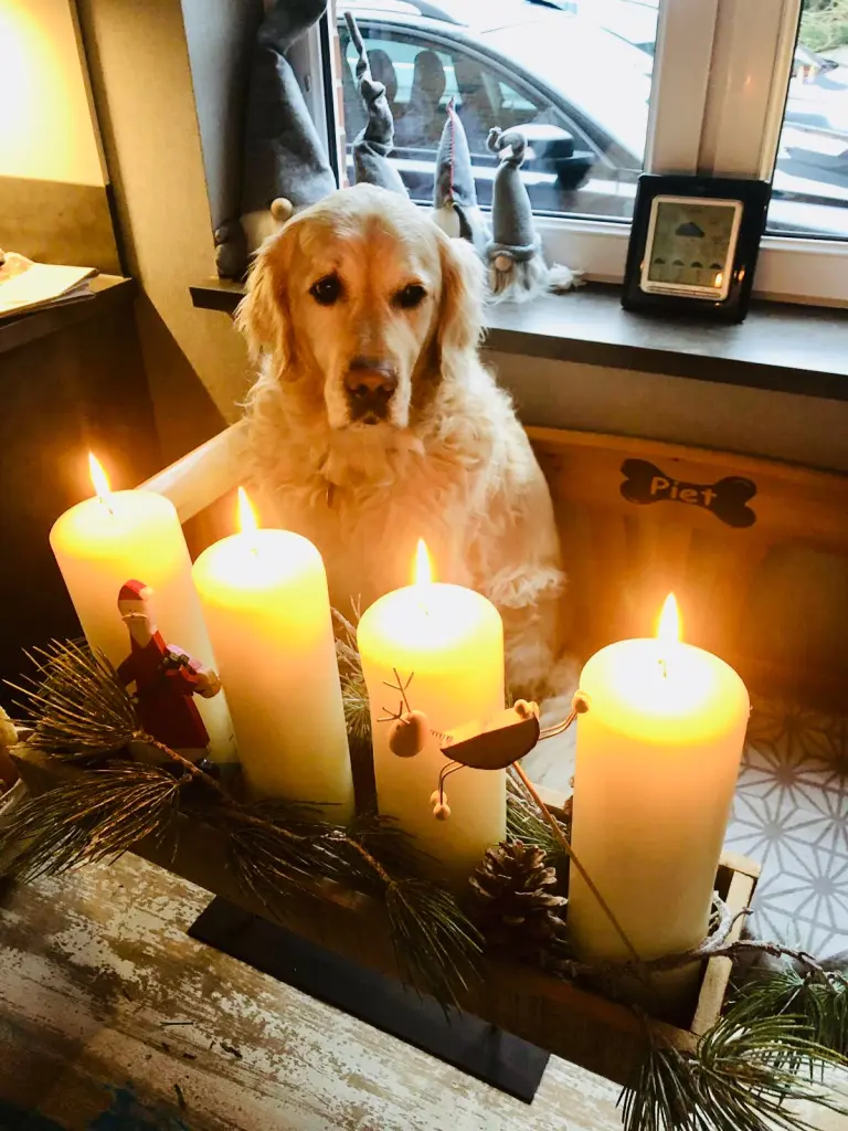 Condolence image of Andy und Piet ❤️