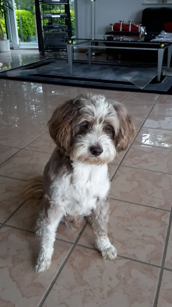 Condolence image of Bettina
