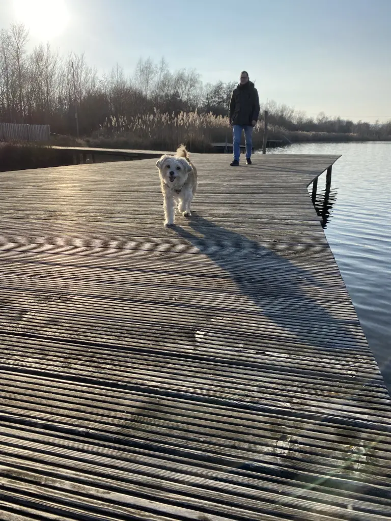 Image from Trixie
